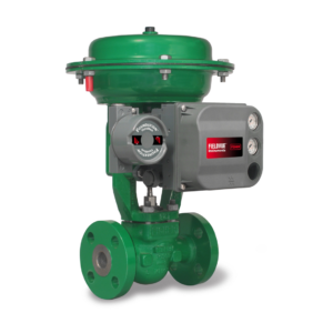 Globe Control Valves