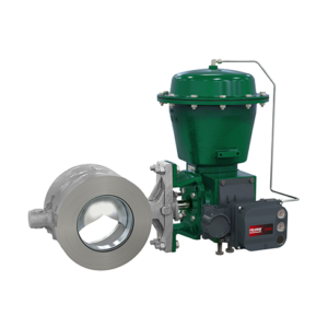 Rotary Control Valves