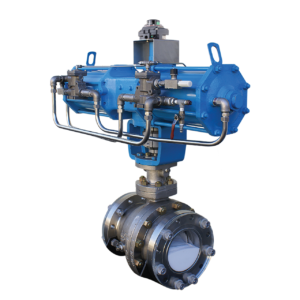 Process Ball Valves